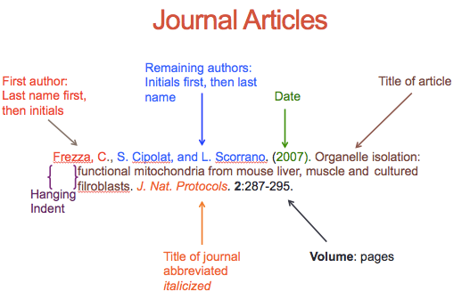 how to reference articles in essay